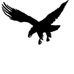 Shadow Of A Eagle