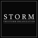The Storm Organization | 2020