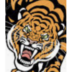 Tigers studio