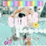 Suns Flowers