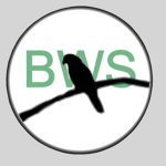 Birb Wing Studios