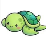 turtle fansss