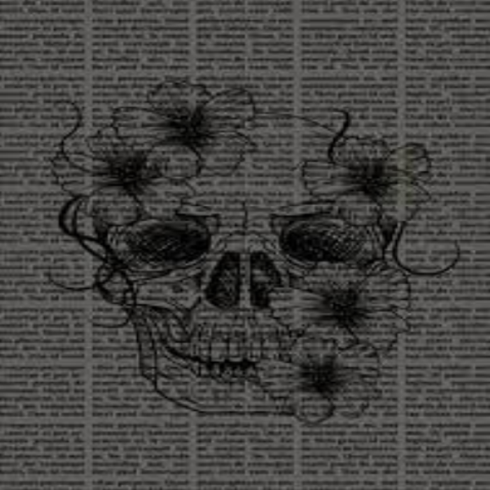 bloxburg dark academia skull drawing / banner Roblox decal