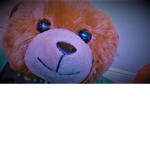 evil bear