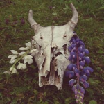 ⸸Vulture Culture⸸