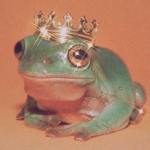 • The Frog Empire •