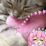 * w2sters