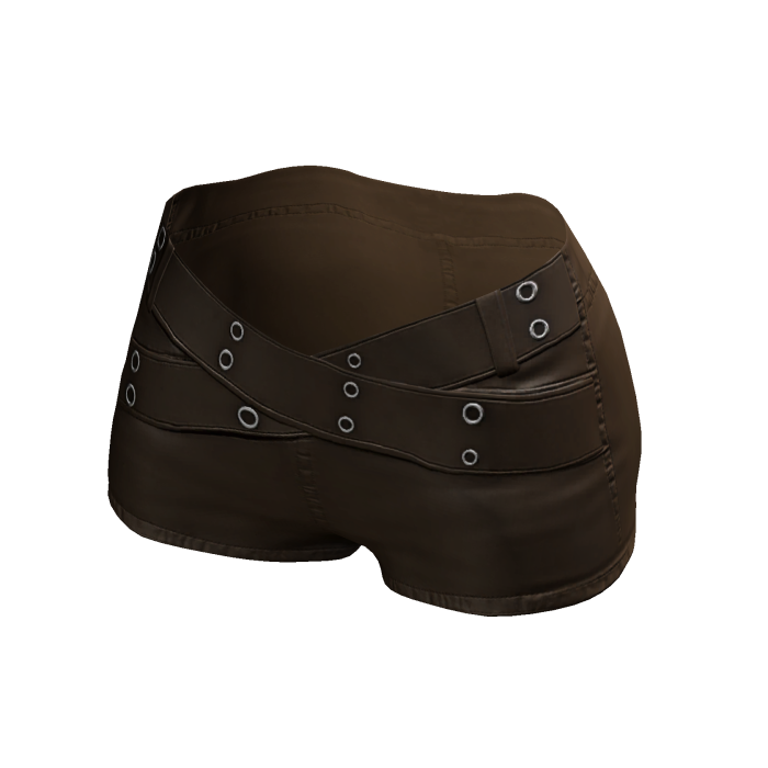 Leather Shorts / Brown