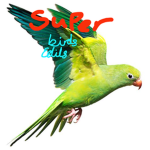 Super birds edits