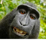 Join or I'll stare at you while ur sleeping.
