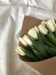 Les_COPINE