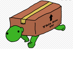 TURTLE OBBY