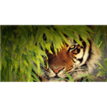 The Real Warrior Catss