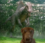 Un grupox