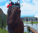 v1nxe_