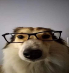 MKPlays you tube fans