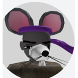 Ninja Rat Training