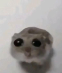 CallmeCherry