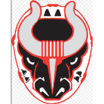 Birmingham Bulls