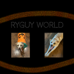 Ryguy World