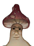 Splingobob Studio