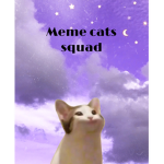Meme cats squad