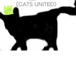 (Cats United)