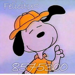 Felicitys