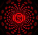 T.S.O (Top Secret Organization)