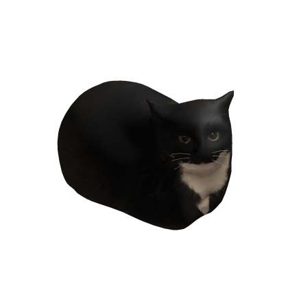 Maxwell carryable cat