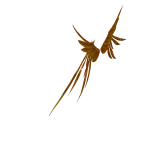 UGC Wings
