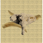 African Tribe Kyenu
