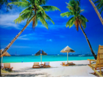 Paradise Clothing Brand And Designs