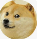 Doggie Dog Studios
