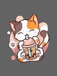The cat’s meow squad