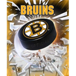 NHL Boston Bruins Fans