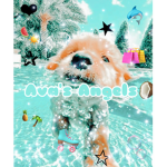 - Ava’s Angelz -