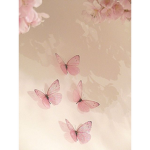 fay's butterflies
