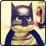 Bad Kitties Studio