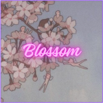 Blossom SPTS Modded