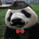 panda -