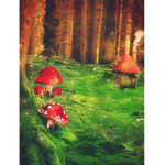 Muushies