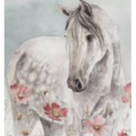 Stallion Stables Academy