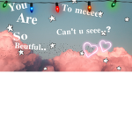 panda_C00kies