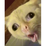 *~+C L O U T+~*