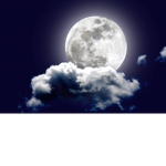 dark moonlight's group