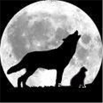 The Wild Cats And Wolves Of Roblox