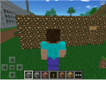 super minecraft fans