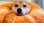 Bruh Bruh Fruit