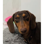 Weenie cool